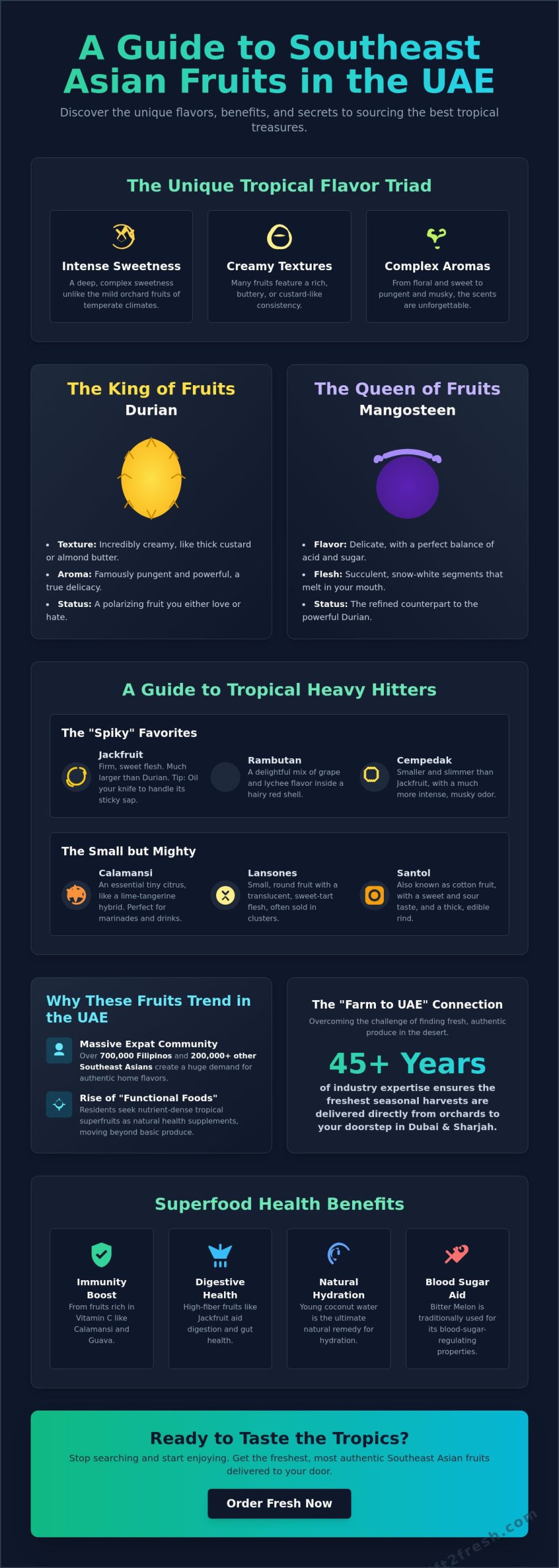 The Ultimate Guide to Southeast Asian Fruits: Flavors, Benefits, and Where to Find Them in the UAE - Infographic